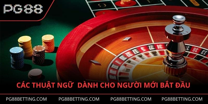 Các thuật ngữ dành cho người mới bắt đầu tham gia cược